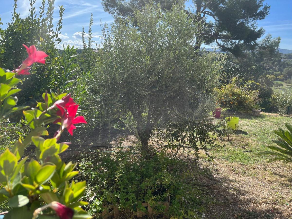 Charme Et Calme Marseilles